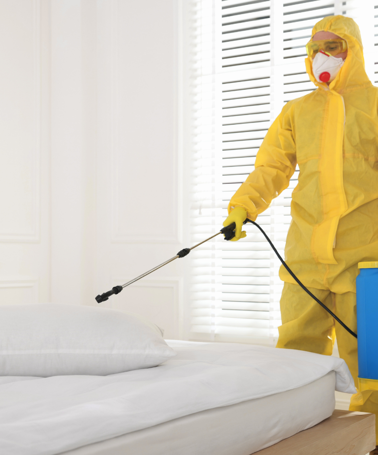 Professional Pest Control Team in Glenelg